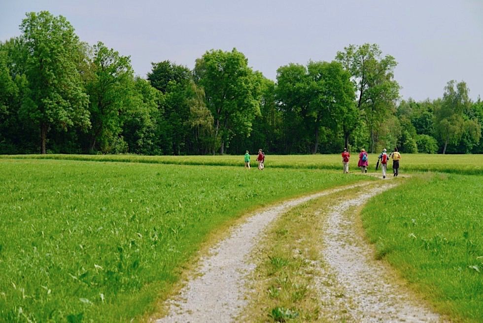 Wiesengänger Etappe 02 - Typischer Routenverlauf - Allgäu - Bayern
