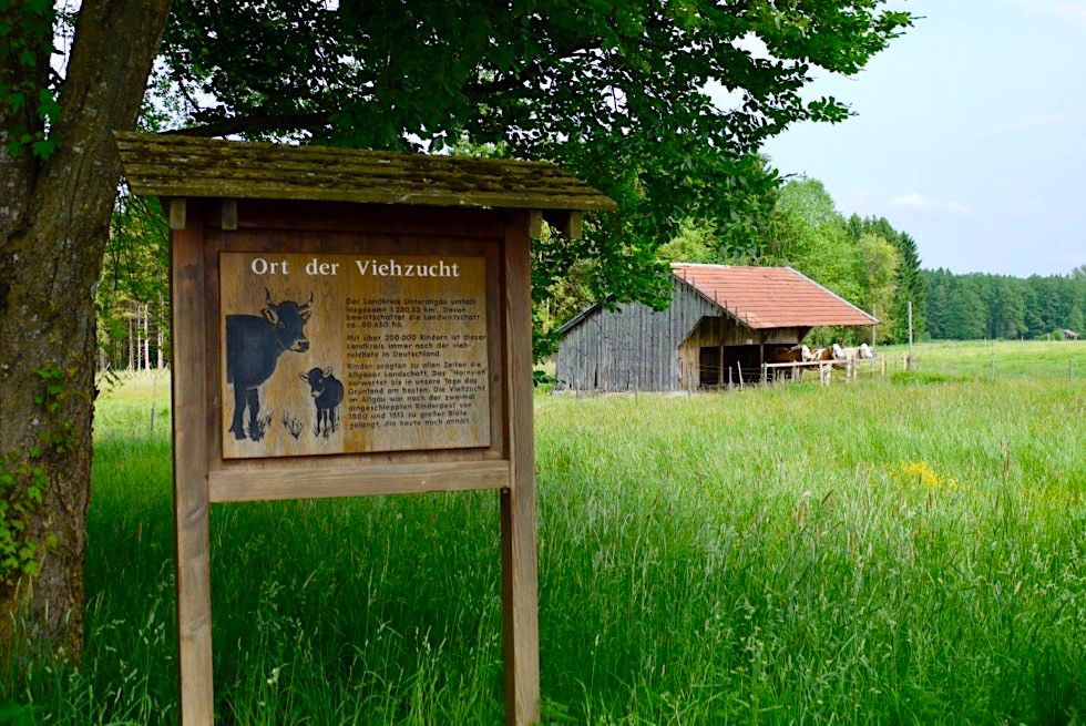 Wandertrilogie Wiesengänger Route 02 - Schautafeln erklären die Umgebung - Allgäu - Bayern