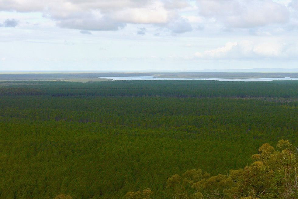 Wild Horse Mountain - Ausblick Bribie Island & Coral Sea - Glass House Mountains - Queensland