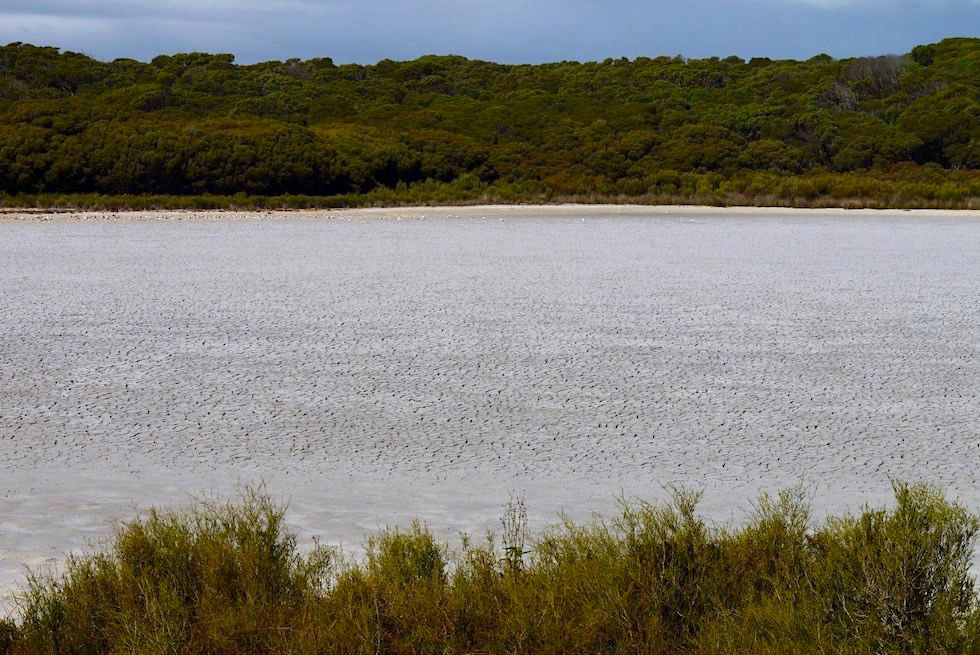 Ausgetrocknete Woolley Lake - Beachport - South Australia