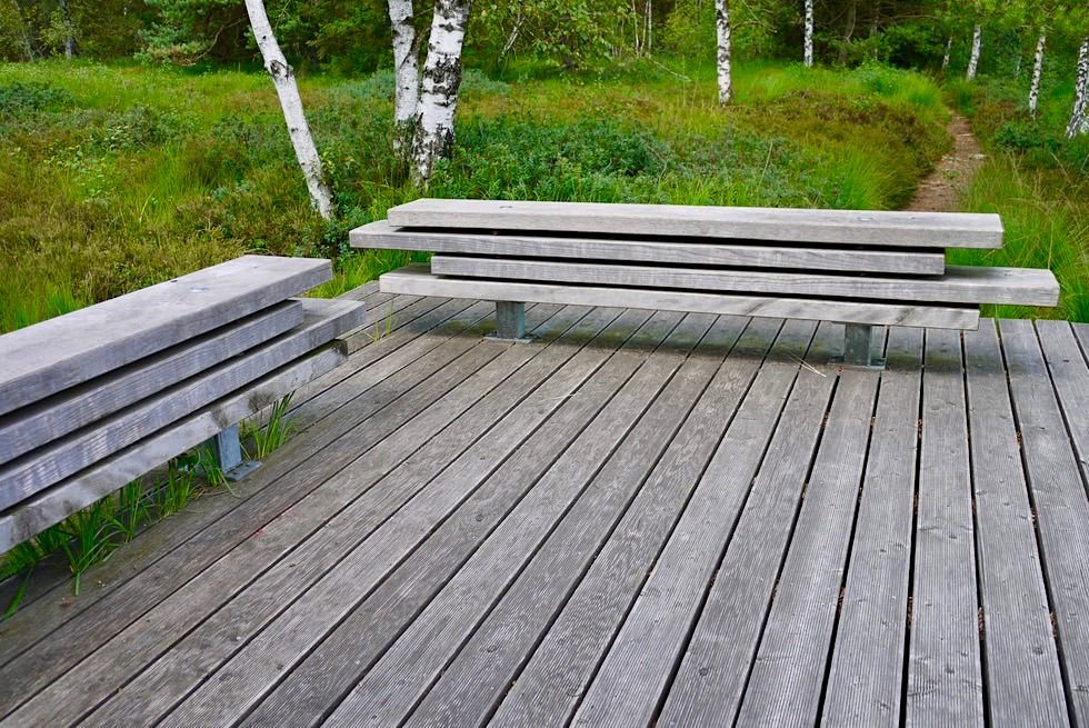 Wurzacher Ried - Wandertrilogie Sitzbänke Naturschatzkammern - Hochmoor - Baden-Württemberg