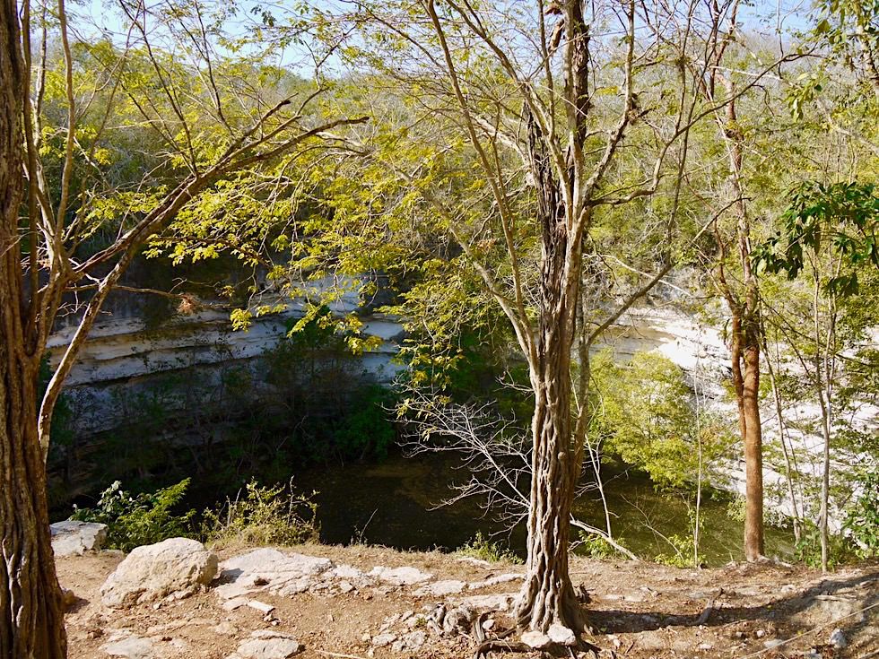 Chichen Itza - Cenote Sagrado oder Heiliger Brunnen - Yucatan - Mexiko