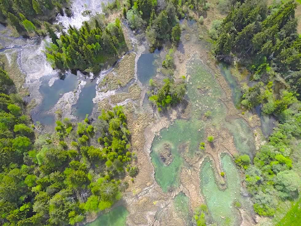 Wurzacher Ried mit Haidgauer Seenplatte - Baden-Württemberg