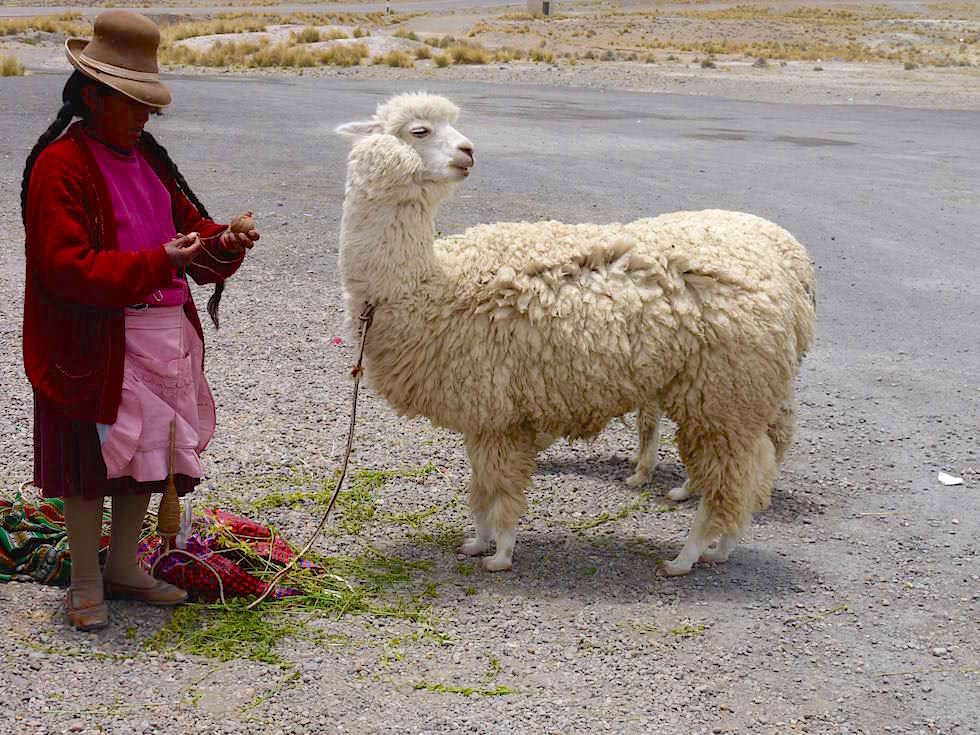 Frau mit Alpaka - Patahuasi - von Arequipa nach Chivay zum Colca Canyon Peru